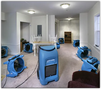 Water Damage Restoration services in Genoa, IL
